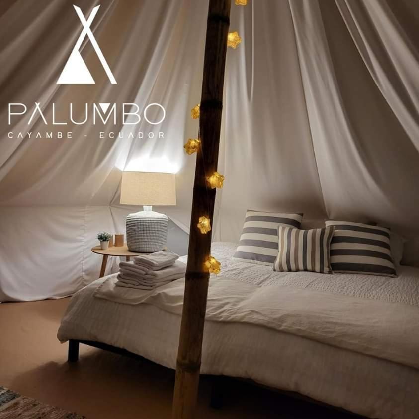 Palumbo Glamping & Villas Cayambe Exterior photo